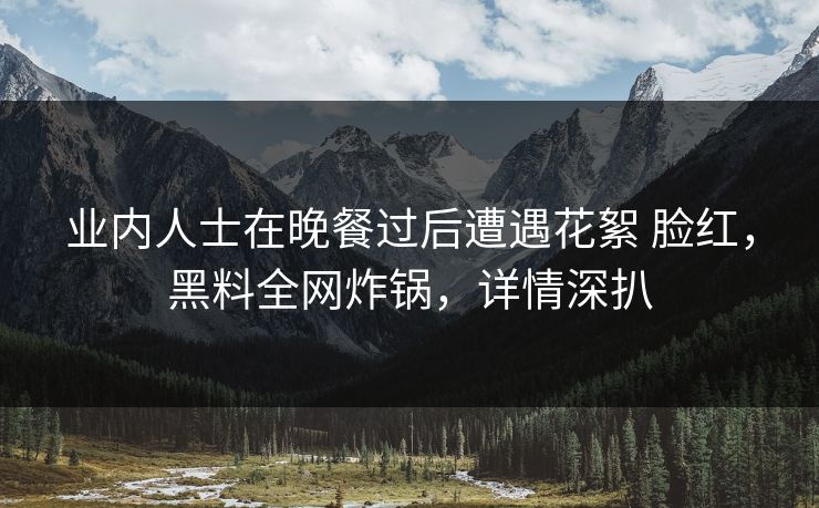 业内人士在晚餐过后遭遇花絮 脸红，黑料全网炸锅，详情深扒